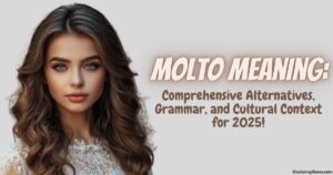 Molto Meaning