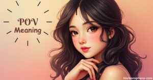 POV Meaning